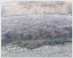  2024Ÿ123148 泲 ݻ걺  ﰡ 423-1      (Ӿ)