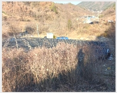  2024Ÿ123148 泲 ݻ걺  ﰡ 423-1      (Ӿ)