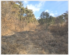  2024Ÿ��125144 ����Ư����ġ�� �屺�� �뱳�� 227-20       ����(����)���