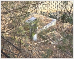  2024Ÿ��125144 ����Ư����ġ�� �屺�� �뱳�� 227-20       ����(����)���