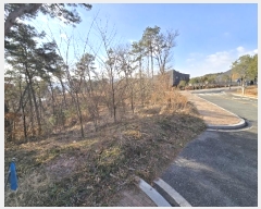  2024Ÿ��125144 ����Ư����ġ�� �屺�� �뱳�� 227-20       ����(����)���