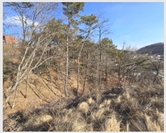  2024Ÿ��125144 ����Ư����ġ�� �屺�� �뱳�� 227-20       ����(����)���