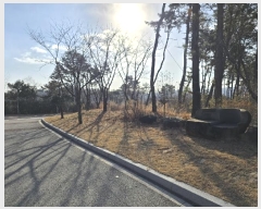  2024Ÿ��125144 ����Ư����ġ�� �屺�� �뱳�� 227-20       ����(����)���