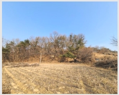  2024Ÿ��125540 ����Ư����ġ�� �屺�� ���ȸ� ��20-3       ����(�Ӿ�)���