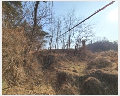  2024Ÿ��125540 ����Ư����ġ�� �屺�� ���ȸ� ��20-3       ����(�Ӿ�)���