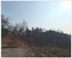  2024Ÿ��125540 ����Ư����ġ�� �屺�� ���ȸ� ��20-3       ����(�Ӿ�)���