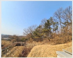  2024Ÿ��125540 ����Ư����ġ�� �屺�� ���ȸ� ��20-3       ����(�Ӿ�)���