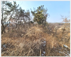  2024Ÿ��125540 ����Ư����ġ�� �屺�� ���ȸ� ��20-3       ����(�Ӿ�)���