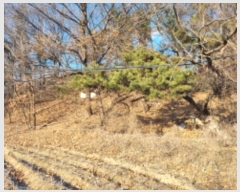  2024Ÿ��125540 ����Ư����ġ�� �屺�� ���ȸ� ��20-3       ����(�Ӿ�)���