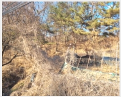  2024Ÿ��125540 ����Ư����ġ�� �屺�� ���ȸ� ��20-3       ����(�Ӿ�)���