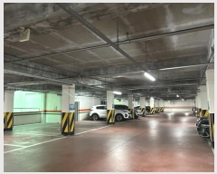  2024Ÿ��30  ����Ʈ���