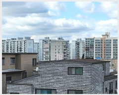  2024Ÿ��3459 ���� �߱� ��õ�� 209-23       �ܵ�����,�����ð��