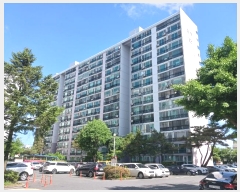  2024Ÿ5127  ߱  77, 22 555ȣ (,ξƮ)    Ʈ