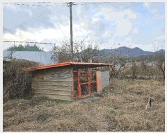  2024Ÿ��10679  ������