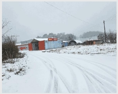  2024Ÿ��10679  ������