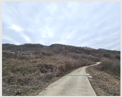  2024Ÿ��11535  �Ӿ߰��