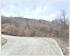  2024Ÿ��11535  �Ӿ߰��