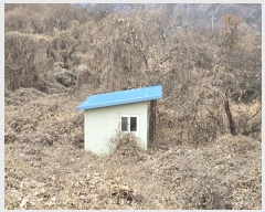  2024Ÿ��11535  �Ӿ߰��