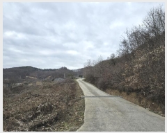  2024Ÿ��11535  �Ӿ߰��