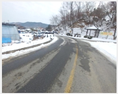  2024Ÿ��11917  �����