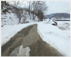  2024Ÿ��11917  �����