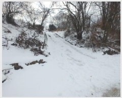  2024Ÿ��11917  �����