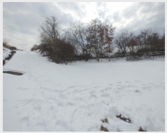  2024Ÿ��11917  �����