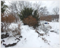  2024Ÿ��11917  �����