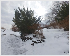  2024Ÿ��11917  �����