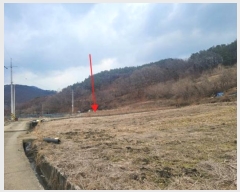  2024Ÿ��125151 �泲 �ݻ걺 ����� ������ 53-1      ����(��1)���