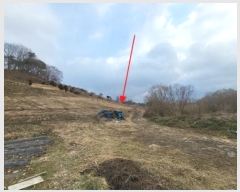  2024Ÿ��125151 �泲 �ݻ걺 ����� ������ 53-1      ����(��1)���