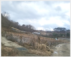  2024Ÿ��125151 �泲 �ݻ걺 ����� ������ 53-1      ����(��1)���