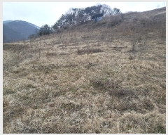  2024Ÿ��125151 �泲 �ݻ걺 ����� ������ 53-1      ����(��1)���