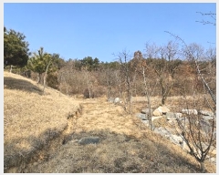  2024Ÿ125250   浿 699-1       (1)