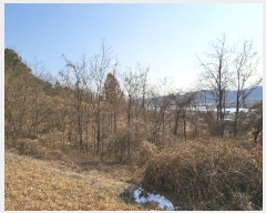  2024Ÿ125250   浿 699-1       (1)