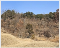  2024Ÿ125250   浿 699-1       (1)