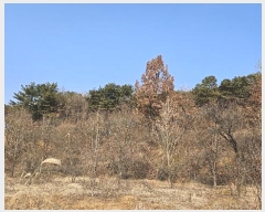  2024Ÿ125250   浿 699-1       (1)