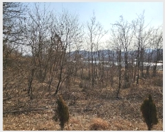  2024Ÿ125250   浿 699-1       (1)