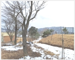  2024Ÿ125250   浿 699-1       (1)