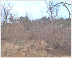  2024Ÿ125250   浿 699-1       (1)