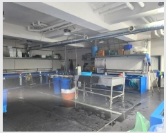  2024Ÿ��11078  �ٸ����ð��