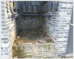  2024Ÿ��102509  �ٰ������ð��