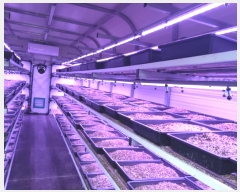  2024Ÿ��103564 �泲 �ݻ걺 ������ ��Ҹ� 414-3      ���(�󰡽ü�)���