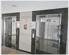  2024Ÿ110180 Ưġ Ѵ 227, 4422ȣ (,)      Ȱð