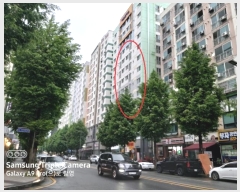  2024Ÿ111404   ȭ 117, 1 9906ȣ (,Ӹ)    Ʈ