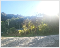  2024Ÿ119002 Ưġ Ǹ õ 141-7       ()