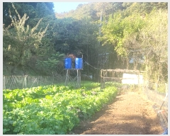  2024Ÿ119002 Ưġ Ǹ õ 141-7       ()