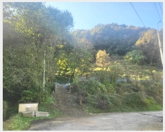  2024Ÿ119002 Ưġ Ǹ õ 141-7       ()