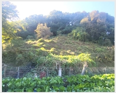  2024Ÿ119002 Ưġ Ǹ õ 141-7       ()