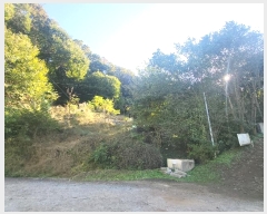  2024Ÿ119002 Ưġ Ǹ õ 141-7       ()